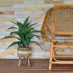 24" X 24" Artificial Dracaena Plant In Basket Stand - LCG Florals -Home Improvement Store GUEST 0b32f396 e3c5 40c5 b697 7763c8e450b6