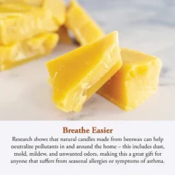 Candle By The Hour 60-Hour Round Candle Refill, Eco-friendly Natural Beeswax With Cotton Wick -Home Improvement Store GUEST 1be736d2 98df 44a4 a9c7 7790105f7a35