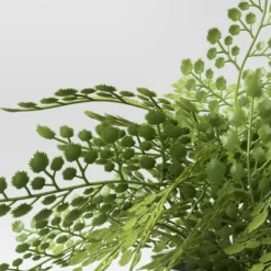 Small Fern In Modern Pot Maiden Hair Arrangement - Threshold™ -Home Improvement Store GUEST 1de5448c 826d 45b4 9ee7 b8e0ec6c3f1d