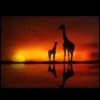 Northlight Safari Sunset LED Back Lit Giraffe And Baby Canvas Wall Art 11.75" X 15.75" -Home Improvement Store GUEST 32b94150 3b5a 497b bda8 77f6f0410d6a