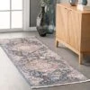 NuLOOM Addison Transitional Faded Medallion Fringe Area Rug -Home Improvement Store GUEST 40d74aff 3b8f 4bc3 aa77 49a1b42408e0