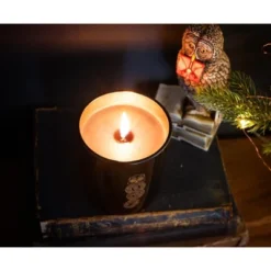 Ukonic Harry Potter Dark Arts Premium Scented Soy Wax Candle -Home Improvement Store GUEST 411ab146 4983 4d63 abbb 98ce34b06345