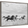 24" X 18" Horse Run I By PH Burchett Framed Canvas Wall Art - Amanti Art -Home Improvement Store GUEST 45e79e90 c8eb 419c 9d58 da6abcbd02b8