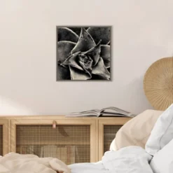 16" X 16" Seattle Succulents By Gary Horsfall Framed Canvas Wall Art - Amanti Art -Home Improvement Store GUEST 46fbe88a 2855 4ae6 991c 28561b64b908