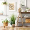 Small Snake Plant In Plant Stand - Threshold™ -Home Improvement Store GUEST 489d175d 669a 46a9 aa02 7878efa3550b