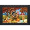 Turkey And Pumpkins Fall Doormat Thanksgiving Farm Autumn 30" X 18" Briarwood Lane -Home Improvement Store GUEST 4b640d9d 87f6 4c35 b623 71ea013eec60