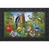 Briarwood Lane Country Birds Spring Doormat Finch Blue Jay Cardinal Indoor Outdoor 30" X 18" -Home Improvement Store GUEST 5aa0b7d2 649d 4c82 a190 15f3a7f6ce10