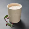 25oz Ceramic Bay & Winter Berry Candle Cream - Threshold™ Designed With Studio McGee