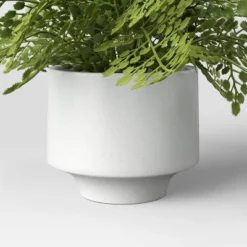 Small Fern In Modern Pot Maiden Hair Arrangement - Threshold™ -Home Improvement Store GUEST 75fb7d8f c213 4761 a51b b27751ab80ae
