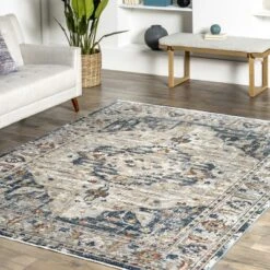 NuLOOM Josephine Winged Cartouche Area Rug -Home Improvement Store GUEST a7f5614c 3356 4a7a 83a6 26f2c62a142b
