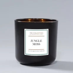 12oz Glass Jar 2-Wick Candle Jungle Moss - The Collection By Chesapeake Bay Candle -Home Improvement Store GUEST ac28e06f d583 49c2 8d66 468119c0530f