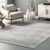 NuLOOM Vintage Exie Area Rug 1 NuLOOM Vintage Exie Area Rug -Home Improvement Store GUEST af3b590b b396 40c5 bc7e de8d4b8a8eec
