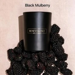 Benevolence LA Black Wax Scented Candle -Home Improvement Store GUEST b029f9ca a7fb 4f78 848d 2ecbce3ad358