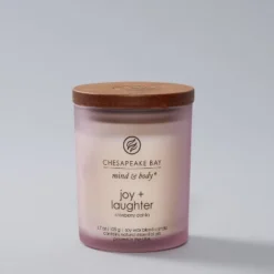 Glass Jar Candle Cranberry Dahlia - Chesapeake Bay Candle -Home Improvement Store GUEST bd3dbf44 f1aa 4092 affc 755e5e876cf6