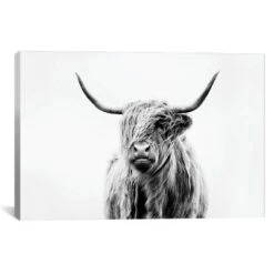 Portrait Of A Highland Cow By Dorit Fuhg Canvas Print Black/White - ICanvas -Home Improvement Store GUEST c97f87d8 f886 4688 b291 560e59e87b5b