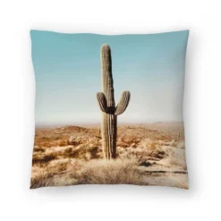Desert Cactus Photo By Tanya Shumkina Throw Pillow - Americanflat -Home Improvement Store GUEST d22c8633 0b8e 4ea7 b61e a16833be475d