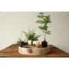Paulownia Wood Hand-Carved Tray - Storied Home