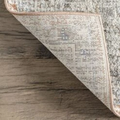 NuLOOM Jacquie Vintage Floral Area Rug -Home Improvement Store GUEST ecc36965 42dc 425e 916a 05d2a0751c17