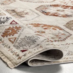 NuLOOM Astrid Traditional Motif Fringe Area Rug -Home Improvement Store GUEST f0780181 5193 419f 9dac fd38fbf5a18a